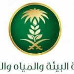 مركز الملك عبدالعزيز للحوار الوطني يشارك المبدعين في تصميم شعار التسامح