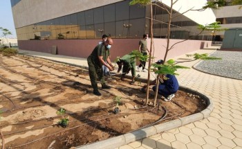 التقنية الرقمية للبنات بجدة تطلق مبادرة اليوم الوطني التقنية الرقمية للبنات بجدة تطلق مبادرة اليوم الوطني