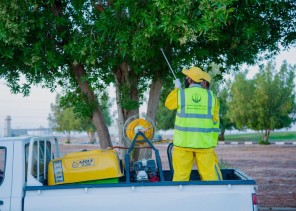 أمانة منطقة تبوك تنفذ 1200 جولة إصحاح بيئي وأعمال مكافحة الحشرات بمواقع متفرِّقة أمانة منطقة تبوك تنفذ 1200 جولة إصحاح بيئي وأعمال مكافحة الحشرات بمواقع متفرِّقة