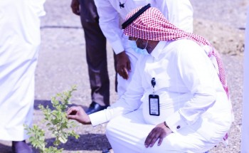 محافظ الدرب يتفقد منتزه السدرة البرّي محافظ الدرب يتفقد منتزه السدرة البرّي