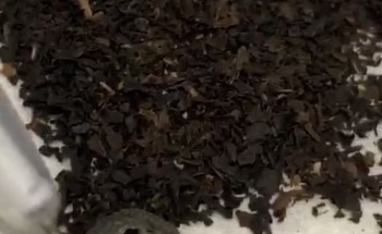 فيديو صادم.. مواطن يعثر على “وزغة” داخل عبوة شاي لماركة معروفة فيديو صادم.. مواطن يعثر على “وزغة” داخل عبوة شاي لماركة معروفة