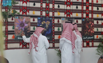 معرض «النباتات البرية» في ربيع عرعر يعرّف الزوار بأكثر من 40 نوعًا مهددًا بالانقراض معرض «النباتات البرية» في ربيع عرعر يعرّف الزوار بأكثر من 40 نوعًا مهددًا بالانقراض