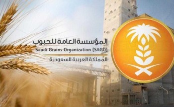 بدء صرف مستحقات الدفعة الثانية لمزارعي القمح المحلي لهذا الموسم بدء صرف مستحقات الدفعة الثانية لمزارعي القمح المحلي لهذا الموسم