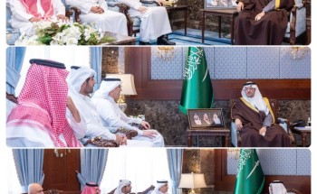 سمو محافظ الأحساء يستقبل الرئيس التنفيذي لشركة دان