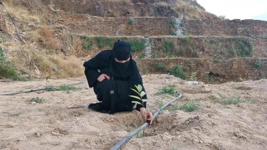 كأول مشروع ريفي .. بالصور : مواطنة تنشأ نزلاً ريفياً على أحد المطلات الجبلية بمحافظة الداير
