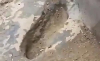 لجنة حكومية تزيل أثراً بينبع النخل يتبرك به آسيويون بدعوى أنه لقدم الرسول ﷺ لجنة حكومية تزيل أثراً بينبع النخل يتبرك به آسيويون بدعوى أنه لقدم الرسول ﷺ