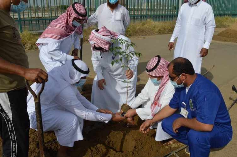 ‏بالتعاون مع فرع وزارة البيئة والمياه والزراعة بجازان.. تشجير مبنى الإذاعة والتلفزيون بمنطقة جازان