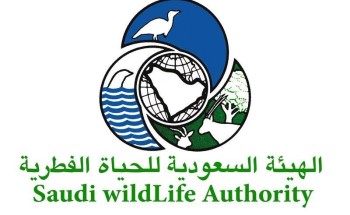 أول تعليق من “الحياة الفطرية” على واقعة ضبط الفهود المهرّبة خارج المملكة