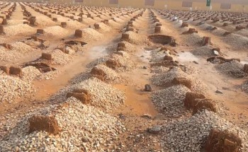 من أجل إكرام الموتى .. تنظيم جديد من أمانة الرياض لتطوير 95 مقبرة 