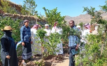 البيئة بجازان تنفذ برنامجاً إرشادياً لمزارعي البن بالمنطقة اليوم البيئة بجازان تنفذ برنامجاً إرشادياً لمزارعي البن بالمنطقة اليوم