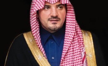 اتصال هاتفي بين وزير الداخلية ونظيره الباكستاني لبحث التنسيق الأمني اتصال هاتفي بين وزير الداخلية ونظيره الباكستاني لبحث التنسيق الأمني