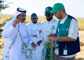هيئة تطوير محمية الملك سلمان بن عبدالعزيز الملكية بالتعاون مع مركز وقاء تنفذ دراسة مسببات الأمراض النباتية لشجر الطلح وعزل الفطريات المصابة هيئة تطوير محمية الملك سلمان بن عبدالعزيز الملكية بالتعاون مع مركز وقاء تنفذ دراسة مسببات الأمراض النباتية لشجر الطلح وعزل الفطريات المصابة