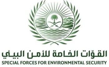 القوات الخاصة للأمن البيئي تضبط مخالفَين لقيامهما بتشويه المعالم الطبيعية في محافظة الخرمة القوات الخاصة للأمن البيئي تضبط مخالفَين لقيامهما بتشويه المعالم الطبيعية في محافظة الخرمة