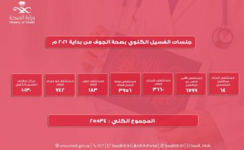 25534 جلسة غسيل كلوي بصحة الجوف