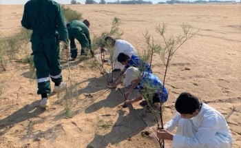بلدية الخفجي تطلق حملة لزراعة 8000 شجيرة في عدد من الطرق بلدية الخفجي تطلق حملة لزراعة 8000 شجيرة في عدد من الطرق