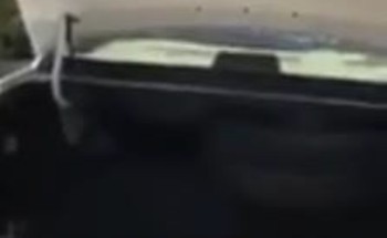 بالفيديو.. لا تضع أضحيتك في شنطة السيارة وإلا سيحدث هذا