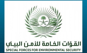 الأمن البيئي: تحديد هوية الأشخاص الذين تم تداول مقطع عن قيامهم بإيذاء سلاحف على أحد شواطئ أملج الأمن البيئي: تحديد هوية الأشخاص الذين تم تداول مقطع عن قيامهم بإيذاء سلاحف على أحد شواطئ أملج