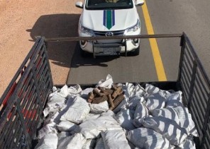 أمن الطرق بالجوف يضبط مقيماً مخالفاً لنظام البيئة بحوزته حطب محلي معروض للبيع
