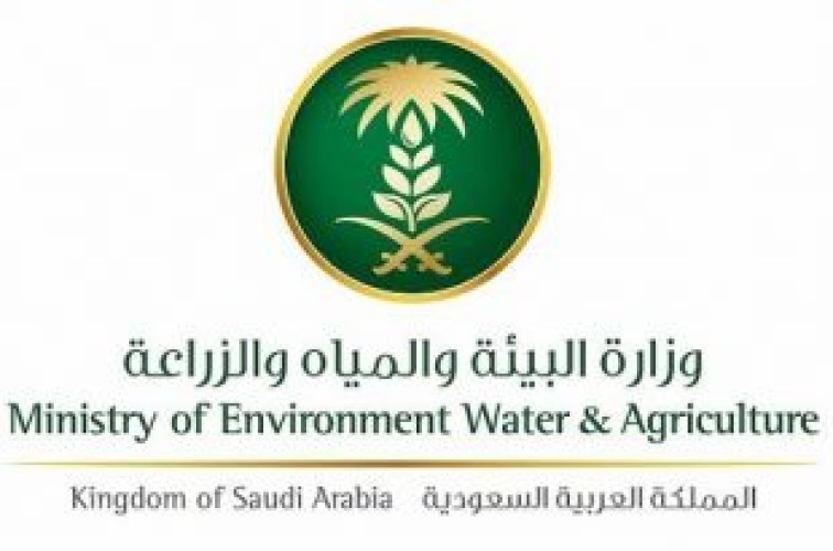 “البيئة”: 3 شركات استزراع مائي تستعد لتصدير من 10 – 15 ألف طن من الأسماك والروبيان إلى روسيا