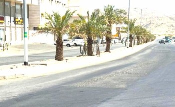 أكثر من 1500 جولة ميدانية نفذتها 3 بلديات بمكة خلال شهر أكثر من 1500 جولة ميدانية نفذتها 3 بلديات بمكة خلال شهر