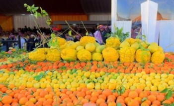 مهرجان الحمضيات الخامس بالحريق يشهد اقبال كبير من الزوار