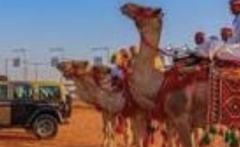 الأمن البيئي يختتم مشاركته في مهرجان هيئة تطوير محمية الإمام تركي بن عبدالله الملكية لمزاد الإبل بمنطقة حائل الأمن البيئي يختتم مشاركته في مهرجان هيئة تطوير محمية الإمام تركي بن عبدالله الملكية لمزاد الإبل بمنطقة حائل