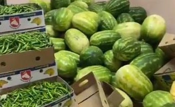 بالفيديو .. أمانة نجران تضبط يكن عمالة يُستخدم كمستودع لتخزين الفواكه والخضراوات بالفيديو .. أمانة نجران تضبط يكن عمالة يُستخدم كمستودع لتخزين الفواكه والخضراوات