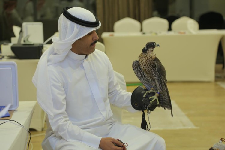 مراكز تسجيل الصقارين يشهد إقبالاً كبيراً بنسخته الثانية