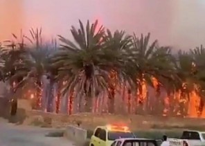 إخماد حريق هائل في مزارع بـ “دومة الجندل”.. شُبهة جنائية