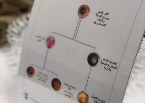 صحة الرياض” تحتفي باليوم العالمي للبصر 2020 صحة الرياض” تحتفي باليوم العالمي للبصر 2020