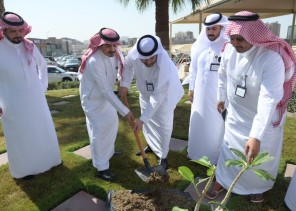 تجمع مكة الصحي يدشن مبادرة تشجير المستشفيات