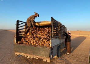 القوات الخاصة للأمن البيئي تضبط أكثر من 4 أطنان من الحطب المحلي في الرياض القوات الخاصة للأمن البيئي تضبط أكثر من 4 أطنان من الحطب المحلي في الرياض
