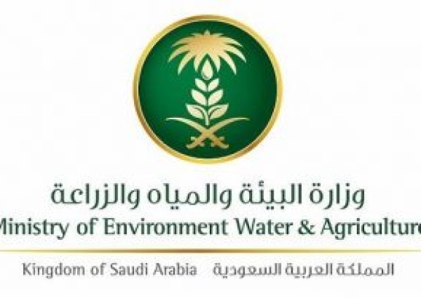 “البيئة”: 3 شركات استزراع مائي تستعد لتصدير من 10 – 15 ألف طن من الأسماك والروبيان إلى روسيا “البيئة”: 3 شركات استزراع مائي تستعد لتصدير من 10 – 15 ألف طن من الأسماك والروبيان إلى روسيا