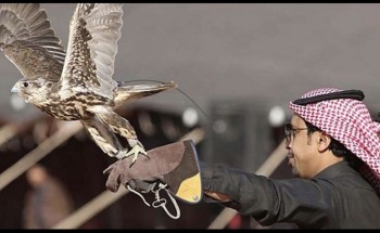 بالصور.. انطلاق مسابقة “هدد الشمال” للصقور في عرعر بالصور.. انطلاق مسابقة “هدد الشمال” للصقور في عرعر