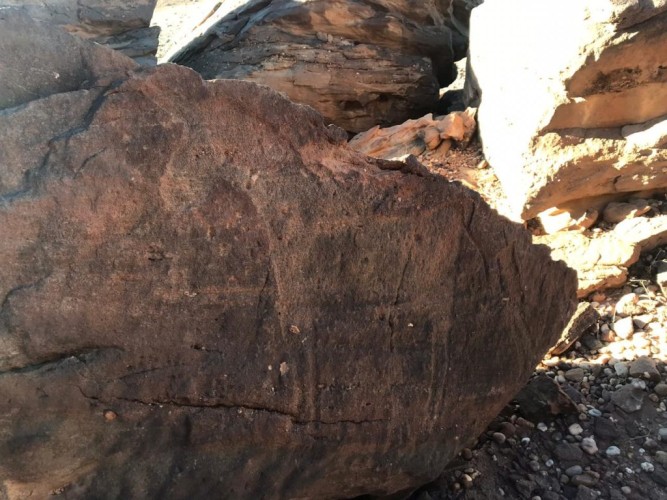 شاهد: اكتشاف نقوش غريبة في حرة بني رشيد جنوب حائل