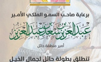الخميس المقبل .. انطلاق منافسات بطولة حائل لجمال الخيل العربية الأصيلة 2023 في نسختها الثانية الخميس المقبل .. انطلاق منافسات بطولة حائل لجمال الخيل العربية الأصيلة 2023 في نسختها الثانية