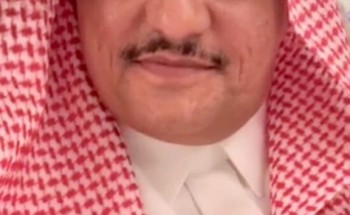 الأمير عبدالعزيز بن سلمان.. رزانة وحكمة رجل الدولة