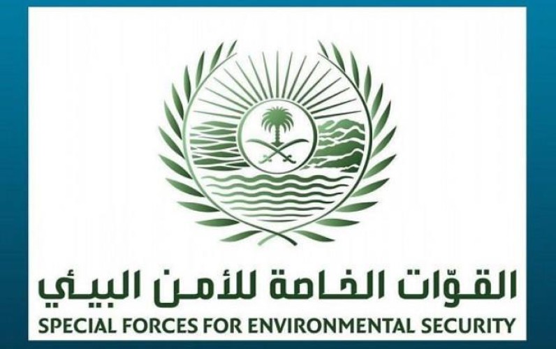 الأمن البيئي: تحديد هوية الأشخاص الذين تم تداول مقطع عن قيامهم بإيذاء سلاحف على أحد شواطئ أملج