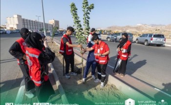 أمين العاصمة المقدسة 900 ألف متر مسطحات خضراء بمكة و294 حديقة عامة نحو تعزيز الاستدامة البيئية «مبادرة السعودية الخضراء»