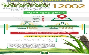 “البيئة” تقضي على الجراد في 12 ألف هكتار.. وتكافحه في مرتفعات عسير “البيئة” تقضي على الجراد في 12 ألف هكتار.. وتكافحه في مرتفعات عسير