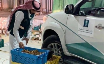 بالصور.. “التجارة” تصادر 6 أطنان من التمور التالفة بالقصيم