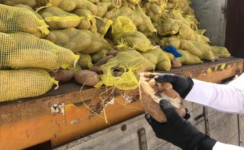 التجارة بالشرقية تنفذ أكثر من 3900 جولة رقابية على المنشآت التجارية خلال الفترة من 11_17 ابريل الجاري التجارة بالشرقية تنفذ أكثر من 3900 جولة رقابية على المنشآت التجارية خلال الفترة من 11_17 ابريل الجاري