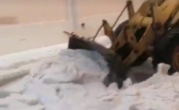 في مشهد نادر الحدوث.. شاهد.. إزالة البرد من شوارع ‎بريدة بالمعدات الثقيلة