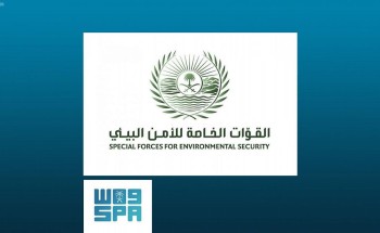 القوات الخاصة للأمن البيئي: مقطع صيد الظبي قديم وخارج المملكة القوات الخاصة للأمن البيئي: مقطع صيد الظبي قديم وخارج المملكة