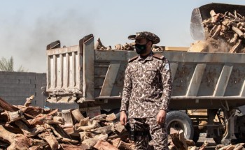 القوات الخاصة للأمن البيئي تضبط أكثر من 120 طناً من الحطب المعروض للبيع في مدينة الرياض القوات الخاصة للأمن البيئي تضبط أكثر من 120 طناً من الحطب المعروض للبيع في مدينة الرياض