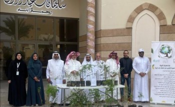“بر جدة” تبدأ توزيع شتلات السدر والمورينجا بمركز حي النهضة لتعزيز الوعي البيئي