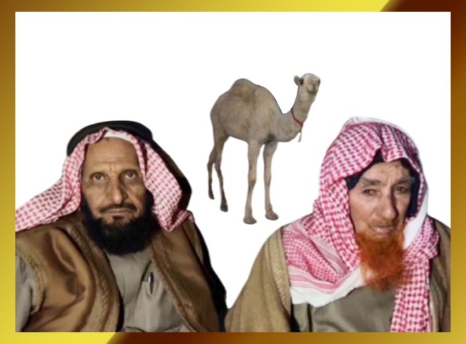 الإهداء في أبهى صورة.. “منور بن فيحان الشويلعي” يٌهدي قعود لـ”شامان بن خلف الشويلعي”