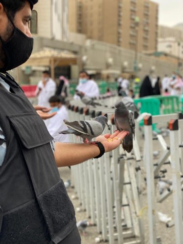 مجموعة إسعاد التطوعية توزع سلال غذائية وسجاد شخصية على المصلين والمعتمرين بمكة المكرمة