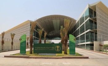 “البيئة” تحذر من غزو أسراب الجراد الأحمر.. وتوضح المناطق المتأثرة