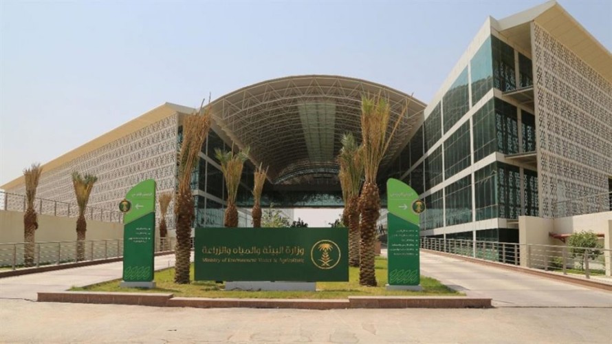 استفسار من “الزراعة” يقود لاكتشاف صك مزور لأراضٍ بأكثر من 10 ملايين ريال بالرياض